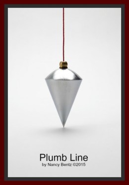 Plumb Line