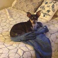 bonnie on bed cropped