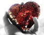 Heart in Hand - Photopin